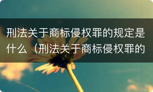 刑法关于商标侵权罪的规定是什么（刑法关于商标侵权罪的规定是什么意思）