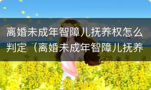 离婚未成年智障儿抚养权怎么判定（离婚未成年智障儿抚养权怎么判定的）