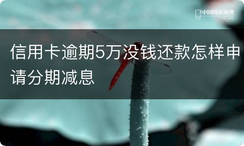 信用卡逾期5万没钱还款怎样申请分期减息