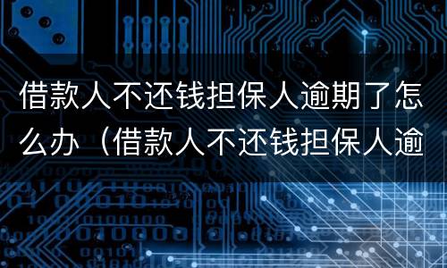 借款人不还钱担保人逾期了怎么办（借款人不还钱担保人逾期了怎么办理）