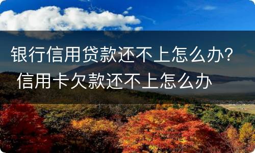 银行信用贷款还不上怎么办？ 信用卡欠款还不上怎么办
