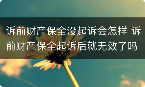 诉前财产保全没起诉会怎样 诉前财产保全起诉后就无效了吗