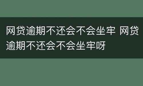 网贷逾期不还会不会坐牢 网贷逾期不还会不会坐牢呀