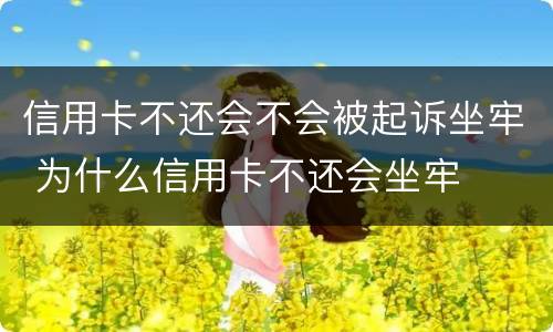 信用卡不还会不会被起诉坐牢 为什么信用卡不还会坐牢