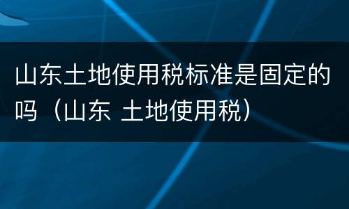 山东土地使用税标准是固定的吗（山东 土地使用税）