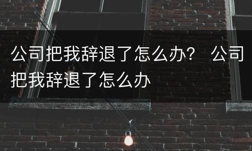 公司把我辞退了怎么办？ 公司把我辞退了怎么办