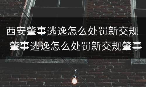 西安肇事逃逸怎么处罚新交规 肇事逃逸怎么处罚新交规肇事逃逸违反条款