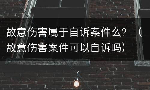 故意伤害属于自诉案件么？（故意伤害案件可以自诉吗）
