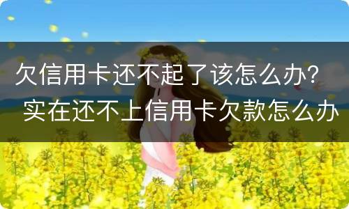 欠信用卡还不起了该怎么办？ 实在还不上信用卡欠款怎么办