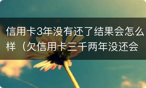 信用卡3年没有还了结果会怎么样（欠信用卡三千两年没还会怎么样）