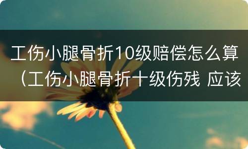 工伤小腿骨折10级赔偿怎么算（工伤小腿骨折十级伤残 应该怎么赔）