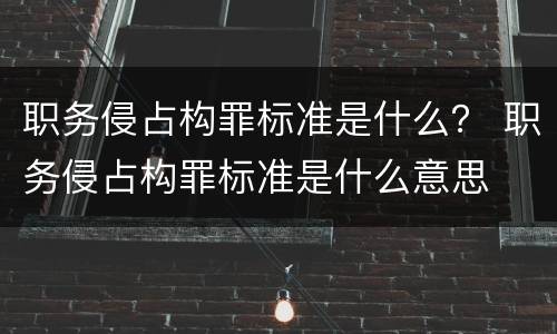 职务侵占构罪标准是什么？ 职务侵占构罪标准是什么意思