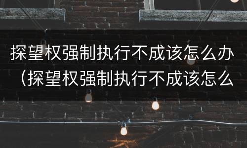 探望权强制执行不成该怎么办（探望权强制执行不成该怎么办理）