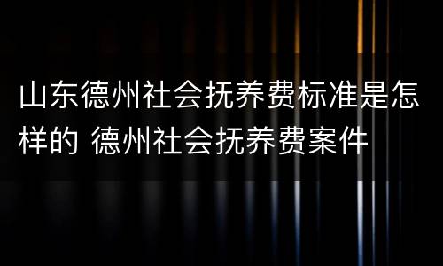 山东德州社会抚养费标准是怎样的 德州社会抚养费案件