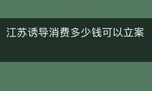 江苏诱导消费多少钱可以立案