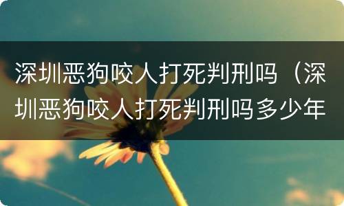深圳恶狗咬人打死判刑吗（深圳恶狗咬人打死判刑吗多少年）