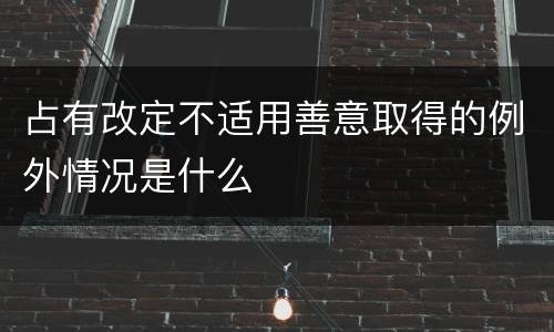 占有改定不适用善意取得的例外情况是什么