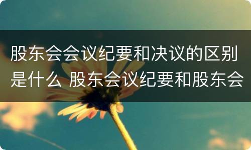 股东会会议纪要和决议的区别是什么 股东会议纪要和股东会议决议的区别