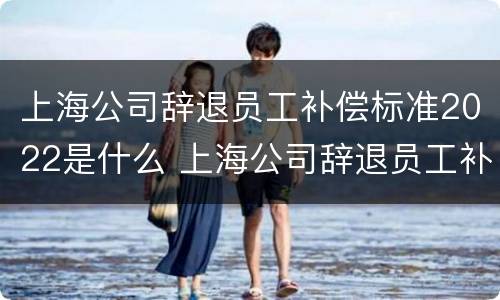 上海公司辞退员工补偿标准2022是什么 上海公司辞退员工补偿标准2022是什么时候发