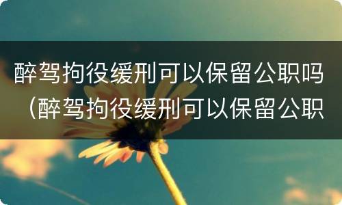 醉驾拘役缓刑可以保留公职吗（醉驾拘役缓刑可以保留公职吗现在）