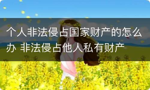 个人非法侵占国家财产的怎么办 非法侵占他人私有财产