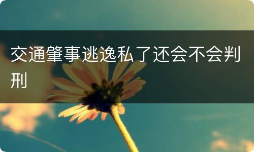 交通肇事逃逸私了还会不会判刑