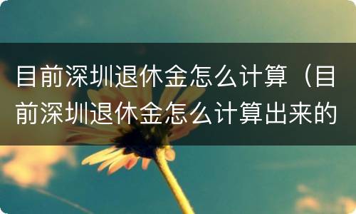 目前深圳退休金怎么计算（目前深圳退休金怎么计算出来的）