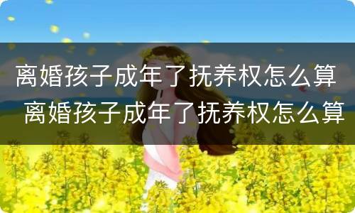 离婚孩子成年了抚养权怎么算 离婚孩子成年了抚养权怎么算的