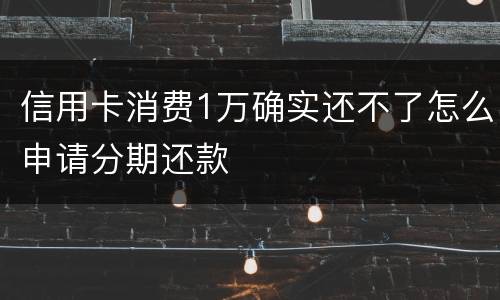 信用卡消费1万确实还不了怎么申请分期还款