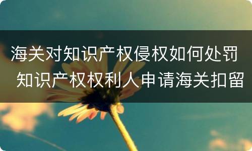 海关对知识产权侵权如何处罚 知识产权权利人申请海关扣留侵权