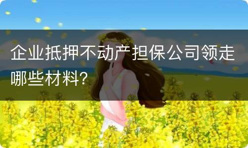 企业抵押不动产担保公司领走哪些材料？