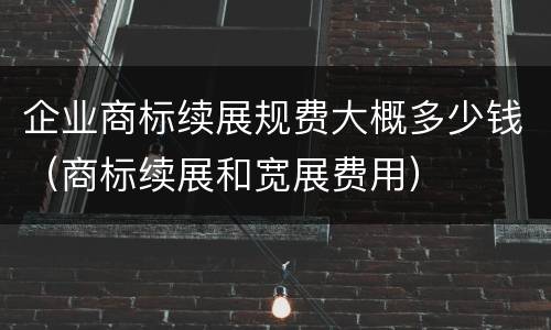企业商标续展规费大概多少钱（商标续展和宽展费用）