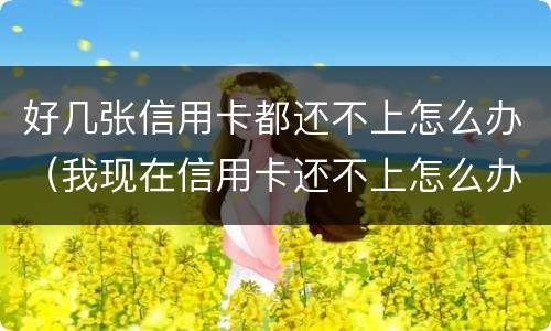 好几张信用卡都还不上怎么办（我现在信用卡还不上怎么办）