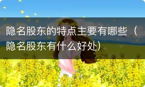 隐名股东的特点主要有哪些（隐名股东有什么好处）