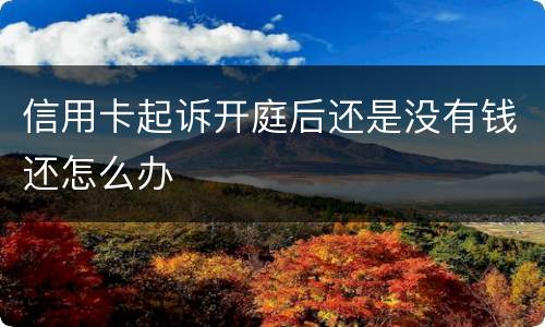 信用卡起诉开庭后还是没有钱还怎么办