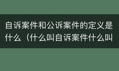 自诉案件和公诉案件的定义是什么（什么叫自诉案件什么叫公诉案件）