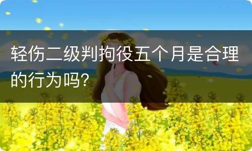 轻伤二级判拘役五个月是合理的行为吗？