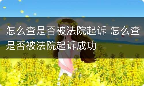 怎么查是否被法院起诉 怎么查是否被法院起诉成功