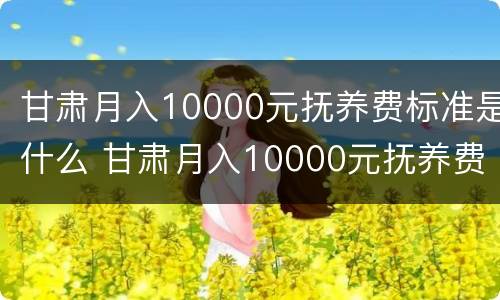 甘肃月入10000元抚养费标准是什么 甘肃月入10000元抚养费标准是什么呢