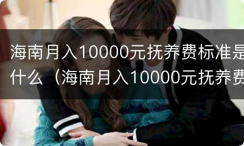 海南月入10000元抚养费标准是什么（海南月入10000元抚养费标准是什么呢）