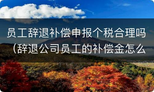 员工辞退补偿申报个税合理吗（辞退公司员工的补偿金怎么申报个税）