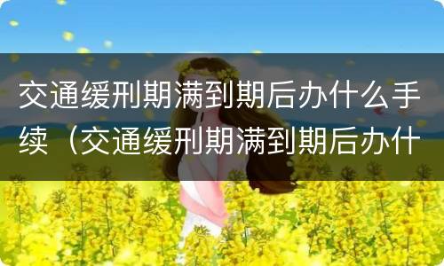交通缓刑期满到期后办什么手续（交通缓刑期满到期后办什么手续最快）
