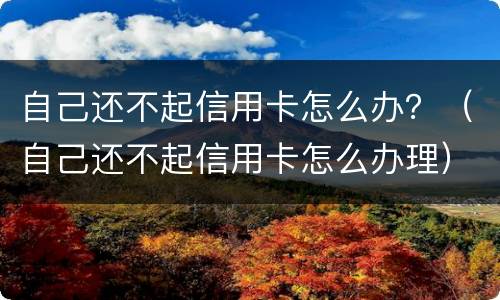 自己还不起信用卡怎么办？（自己还不起信用卡怎么办理）