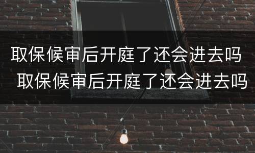 取保候审后开庭了还会进去吗 取保候审后开庭了还会进去吗知乎