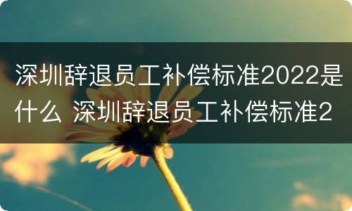 深圳辞退员工补偿标准2022是什么 深圳辞退员工补偿标准2022是什么时候发放