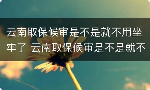 云南取保候审是不是就不用坐牢了 云南取保候审是不是就不用坐牢了呀