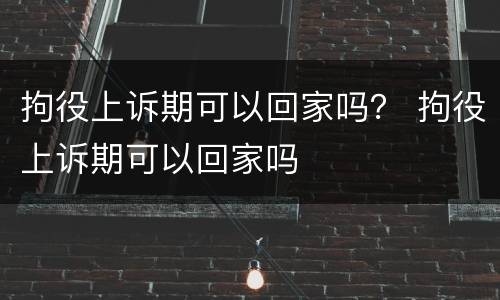 拘役上诉期可以回家吗？ 拘役上诉期可以回家吗