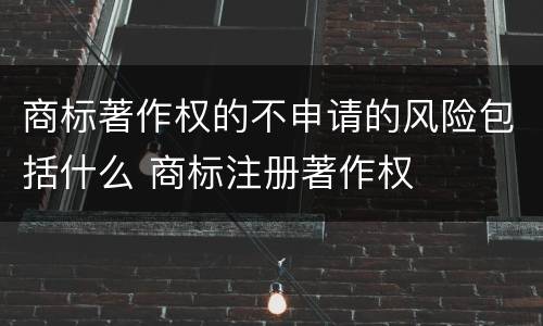 商标著作权的不申请的风险包括什么 商标注册著作权
