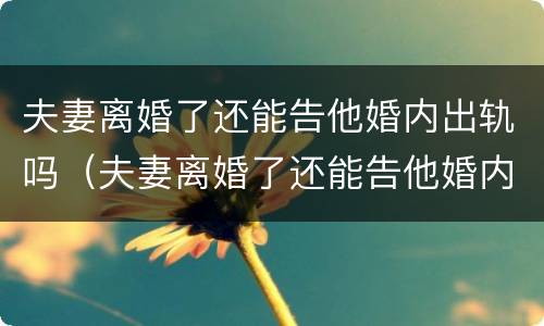 夫妻离婚了还能告他婚内出轨吗（夫妻离婚了还能告他婚内出轨吗知乎）
