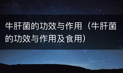 牛肝菌的功效与作用（牛肝菌的功效与作用及食用）